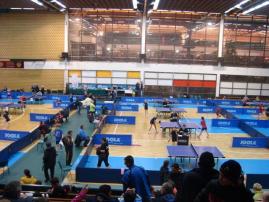 Joola New Year Cup 2013 - Novi Sad, Szerbia